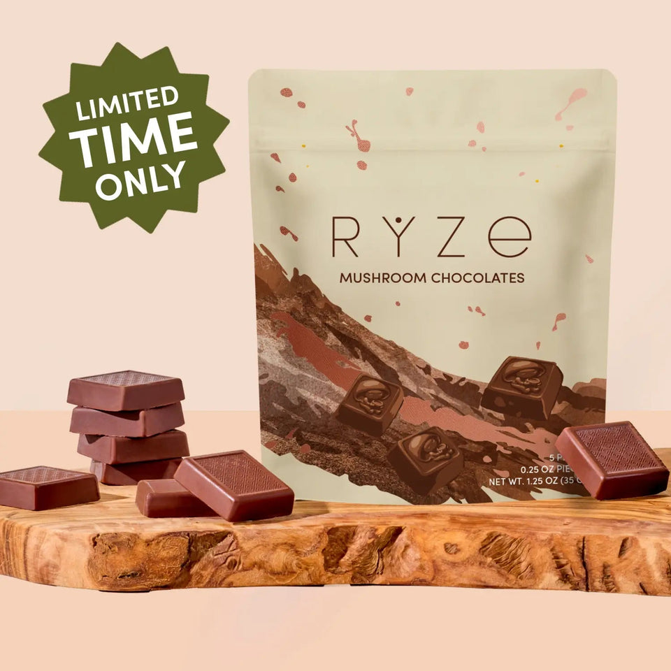 Mushroom Chocolates Rye (15 pieces) - Daily Blend