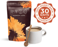 Cocoa Free Gift Bundle - Morning Combo