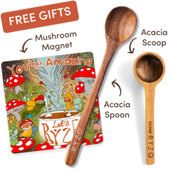 Cocoa Free Gift Bundle - Morning Combo