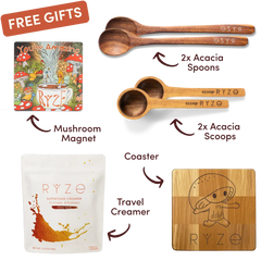 Chai Free Gift Bundle - Bright Lineup