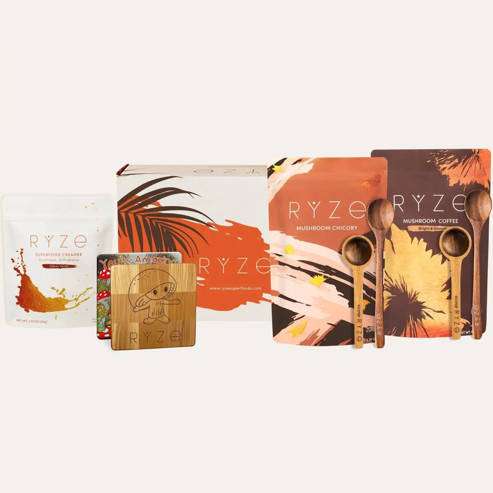 Lasting Energy Bundle (Chicory + Coffee) - Core Brew