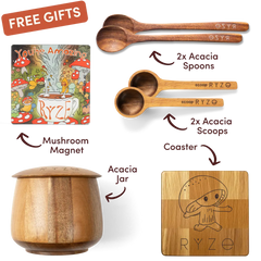 Chai Free Gift Bundle - Bright Lineup