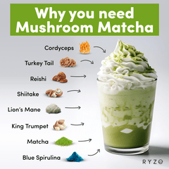 RYZE Organic Mushroom Matcha Starter Kit (60 servings) - Matcha Setup