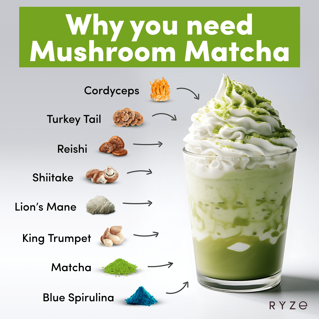 RYZE Organic Mushroom Matcha Starter Kit (60 servings) - Matcha Setup